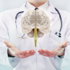 Beyin ve Sinir Hastalıkları Cerrahi (Nöroşirurji)